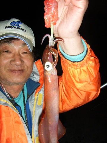 港の岸壁でウキ釣りで釣れたヤリイカの写真です。
