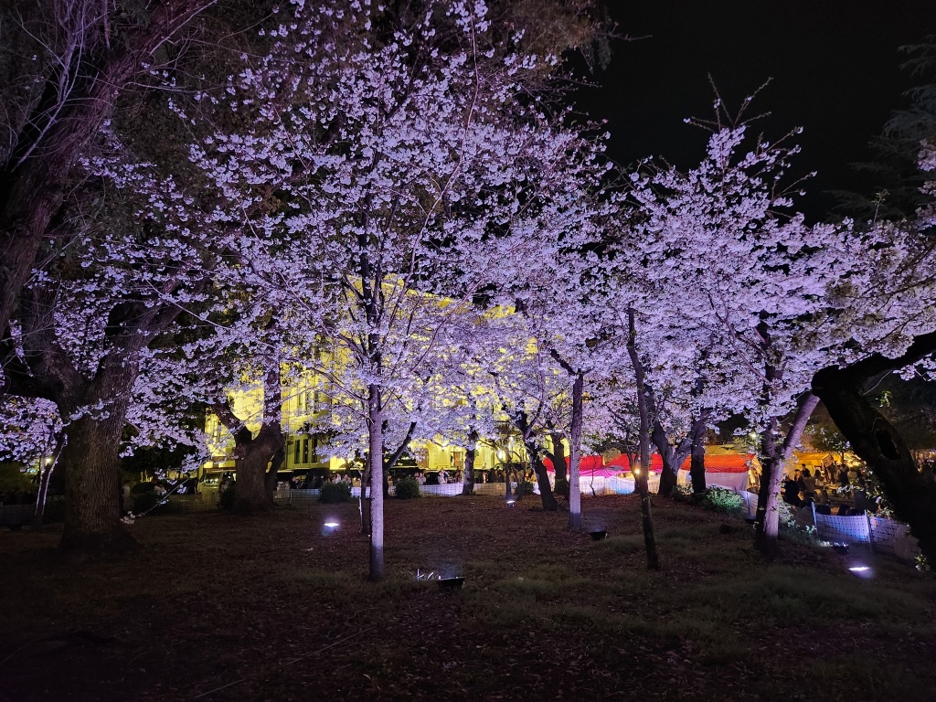 岡崎城桜まつり