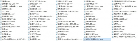 ＜ATOS（津田英治）SE＞