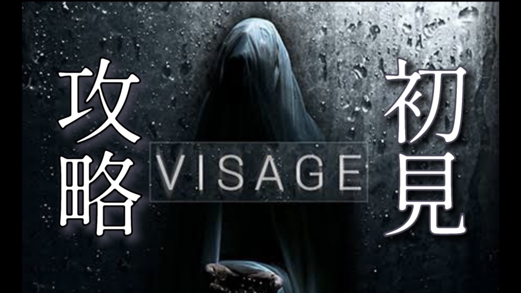 今日もVISAGEやります