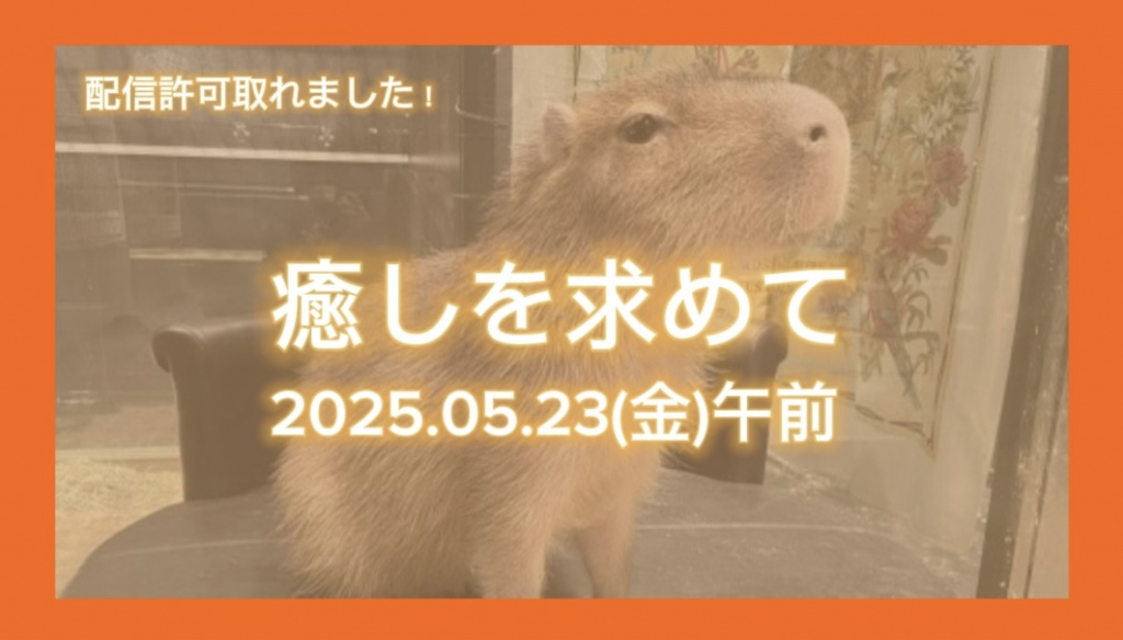 【癒しを求めて】
