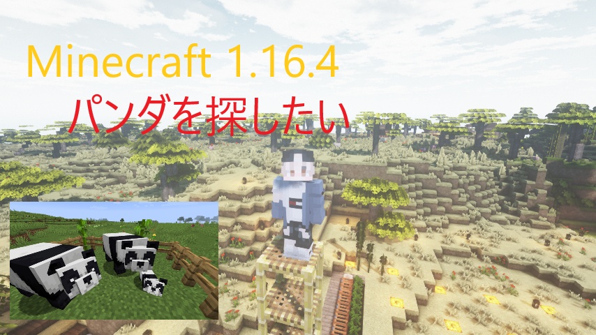 Minecraft1.16.4