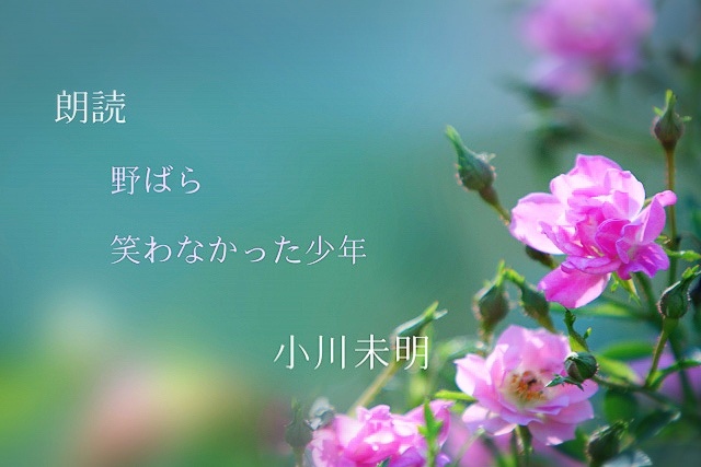 【 朗読のお知らせ 】