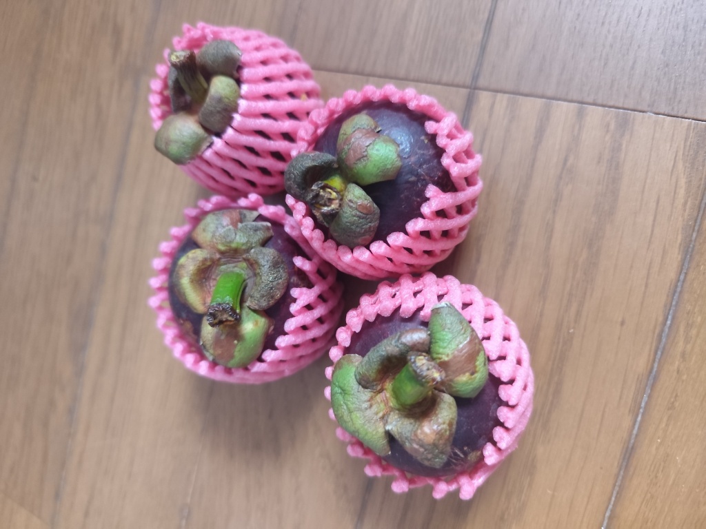 📢第六回「初めての〇〇♥️」やります
