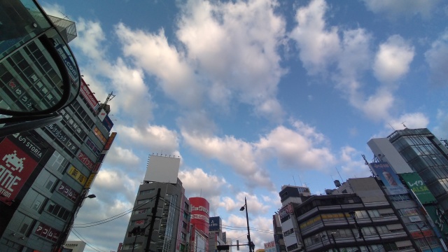 今日の朝2019/03/12