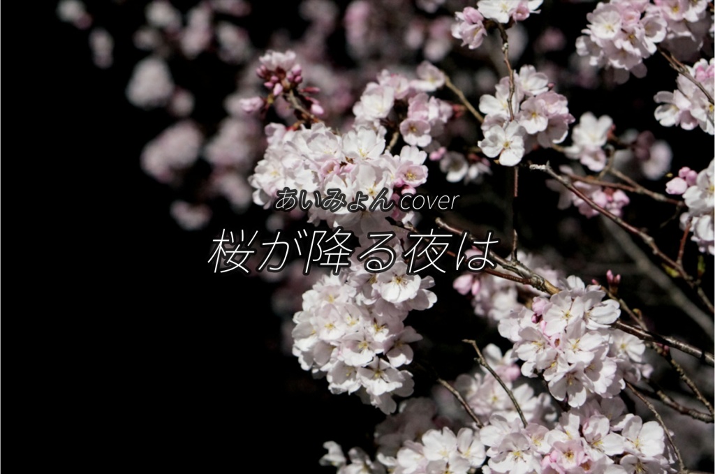 ʕ·ᴥ·ʔ 桜が降る夜は（cover / collabo）公開しました
