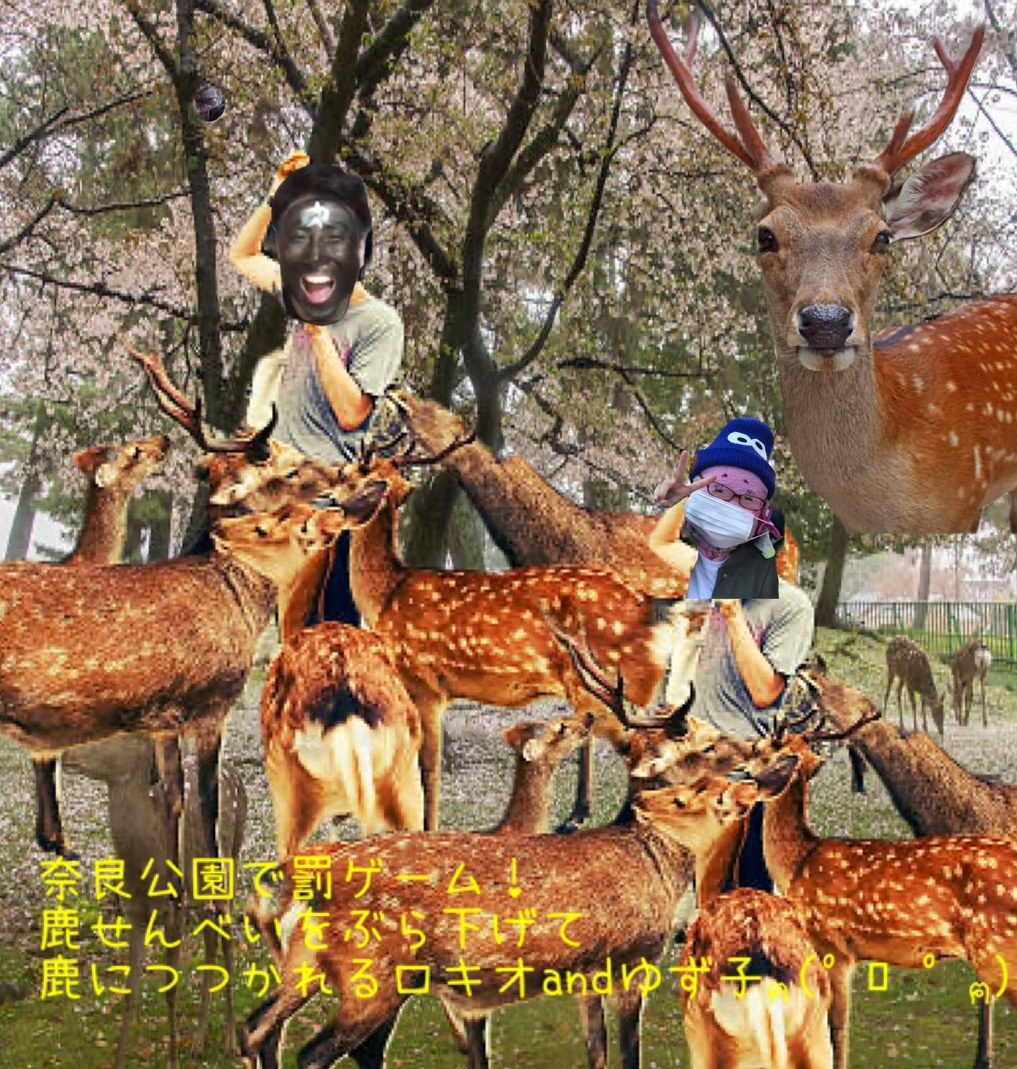 奈良公園でナゲット失敗の罰ゲーム！！🐹