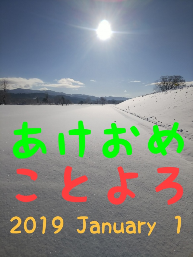 新年明けましておめでとうございますヽ(*´∀｀)ノ.+*:ﾟ