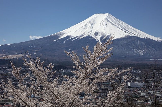 Beautiful Mountain Fuji