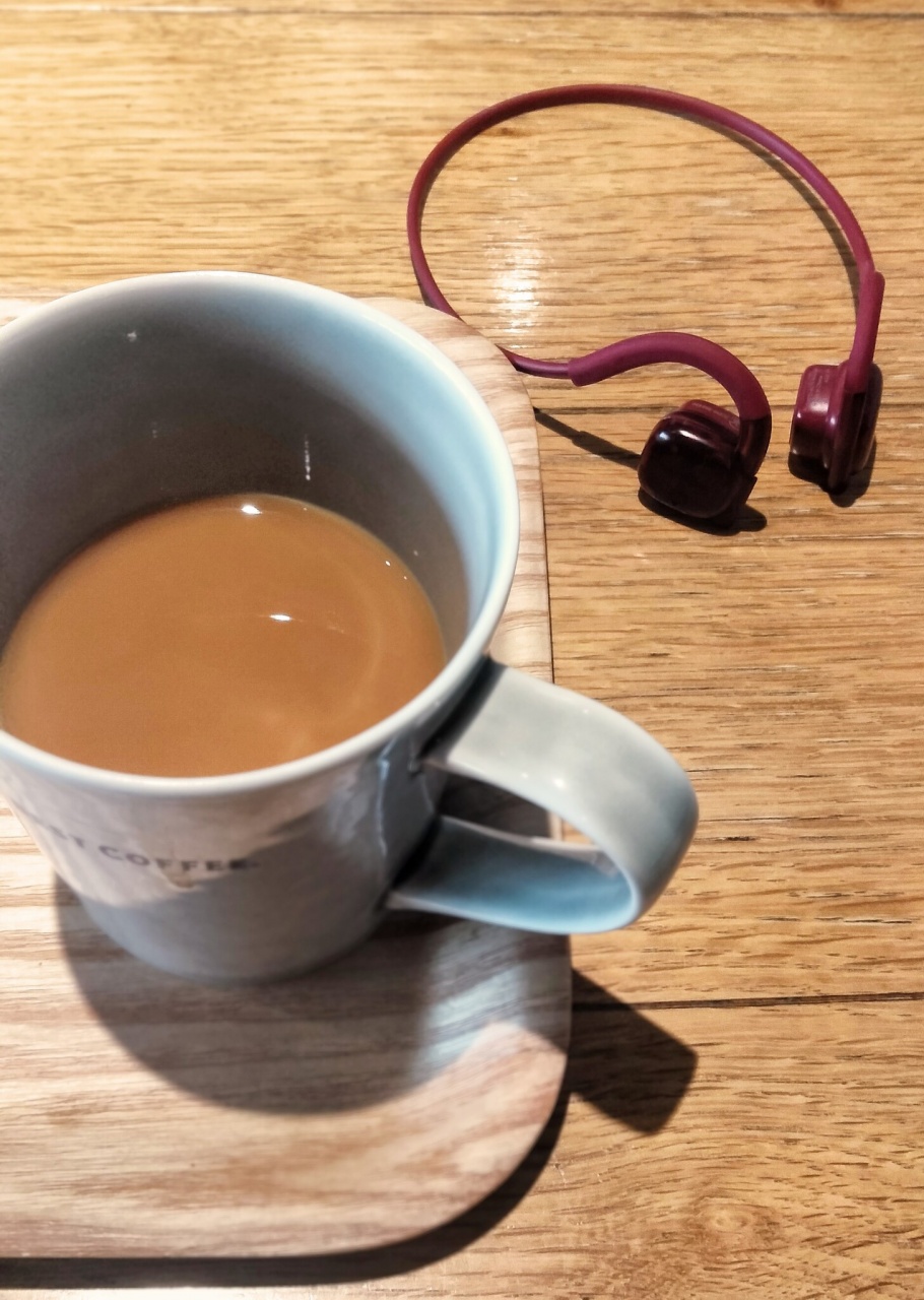 ワイヤレスヘッドホンを買ったんだそうだよ🎧
