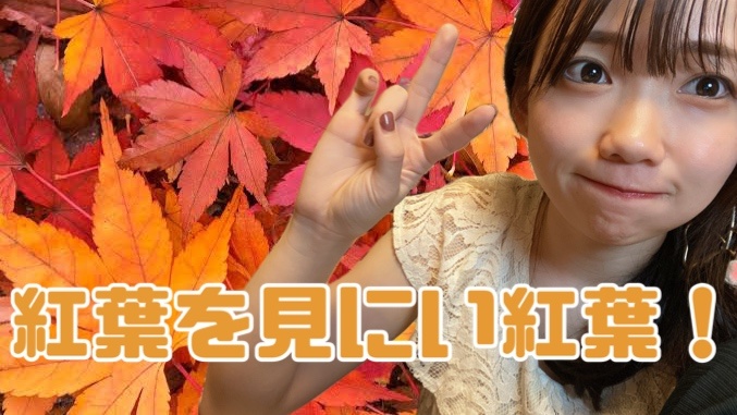 本日15時半~16時から夜まで紅葉配信します!!!

