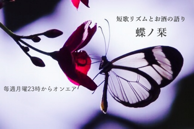 【初回放送】短歌リズムとお酒の語り『蝶ノ栞』