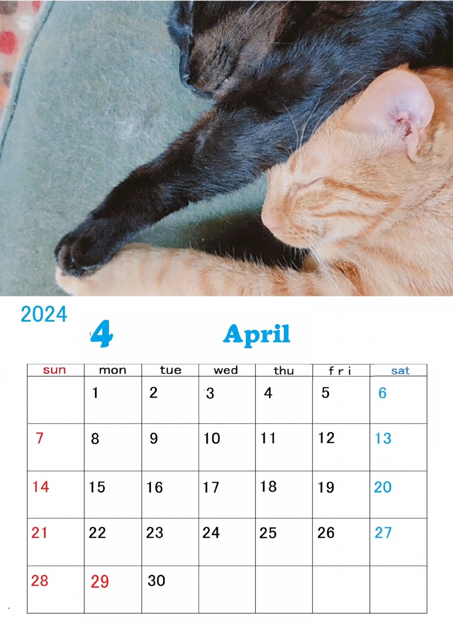 ｢ねこーずカレンダー4月号｣ ができました。
