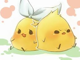 相方募集中のお知らせ٩(๑•̀ω•́๑)۶