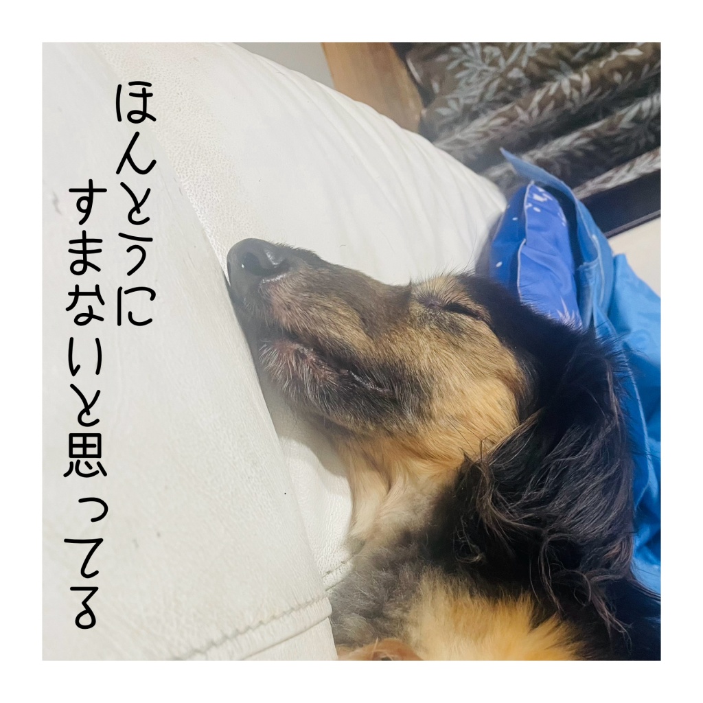 【明日休みます】

