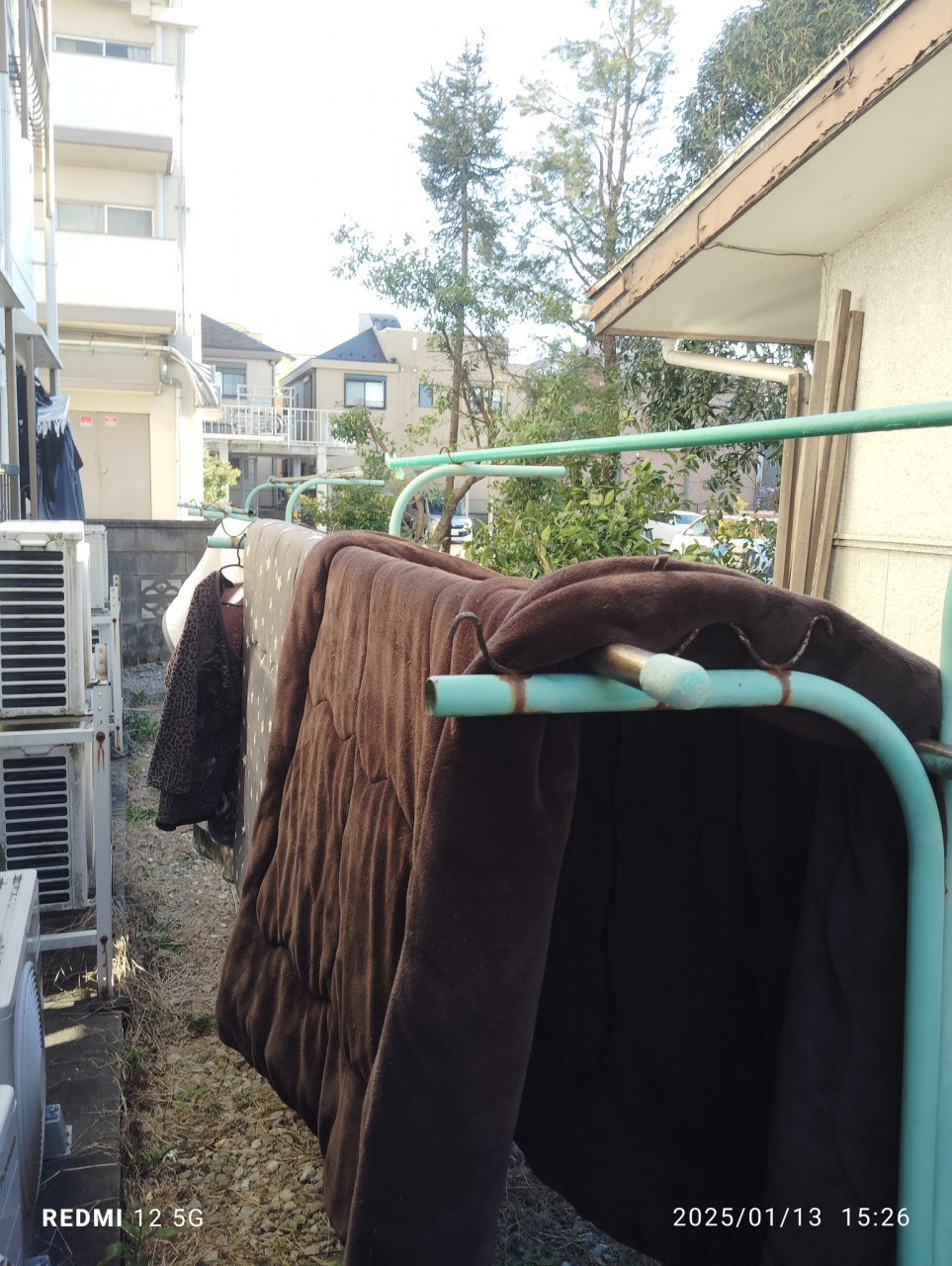 今日は成人式だたようで、
