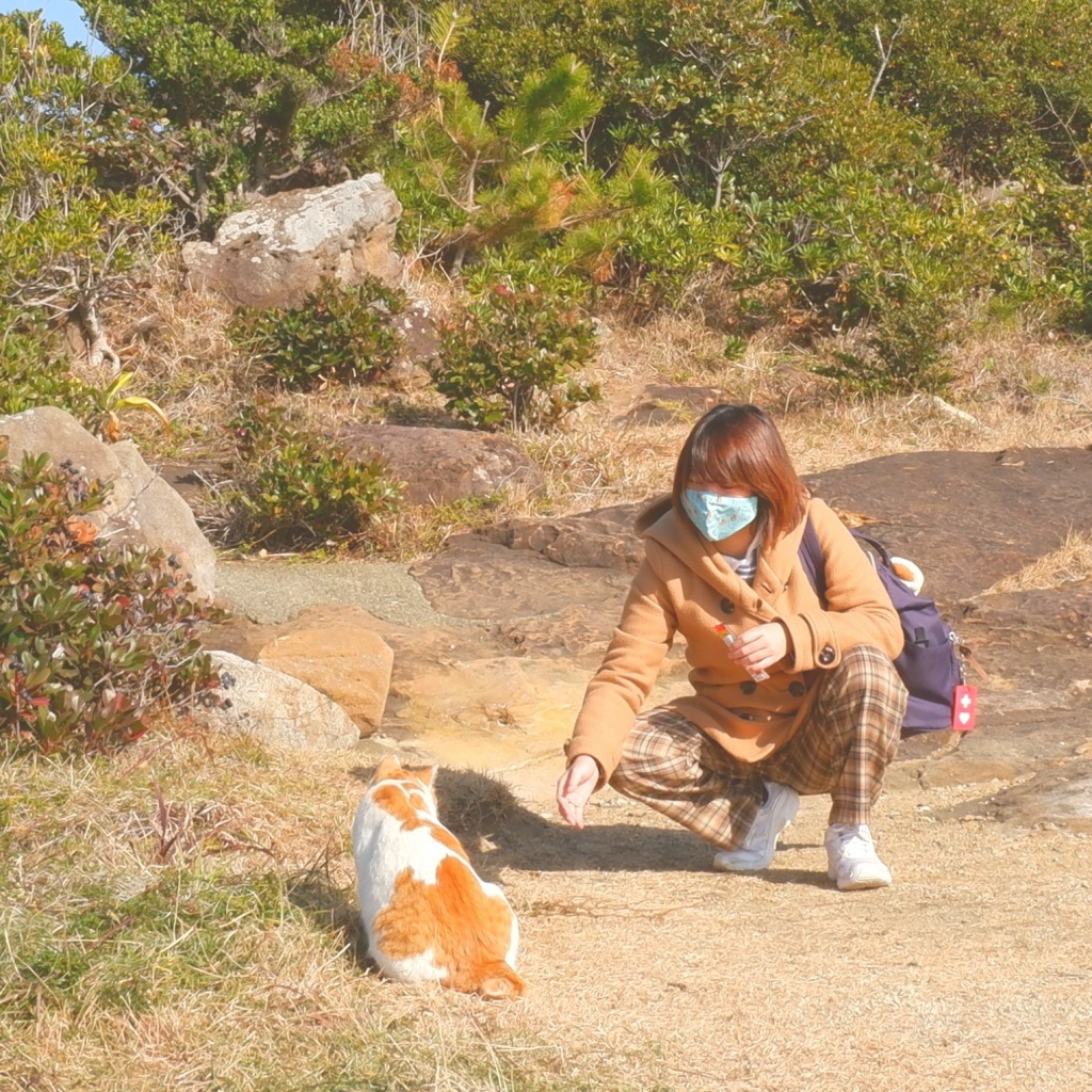 御無沙汰しております。
