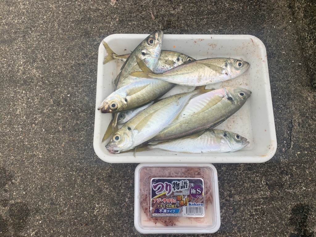 日本海魚釣り釣果です。

