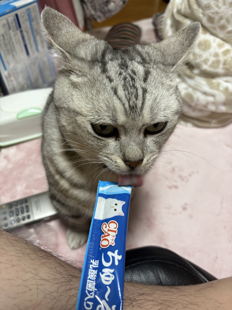 今日も来てくださってありがとうございました🙏
