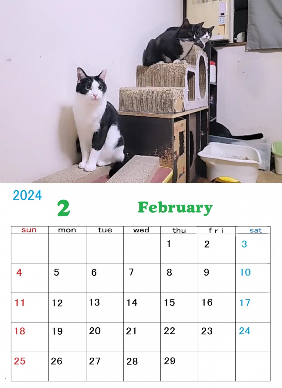 ｢ねこーずカレンダー２月号｣ ができました。
