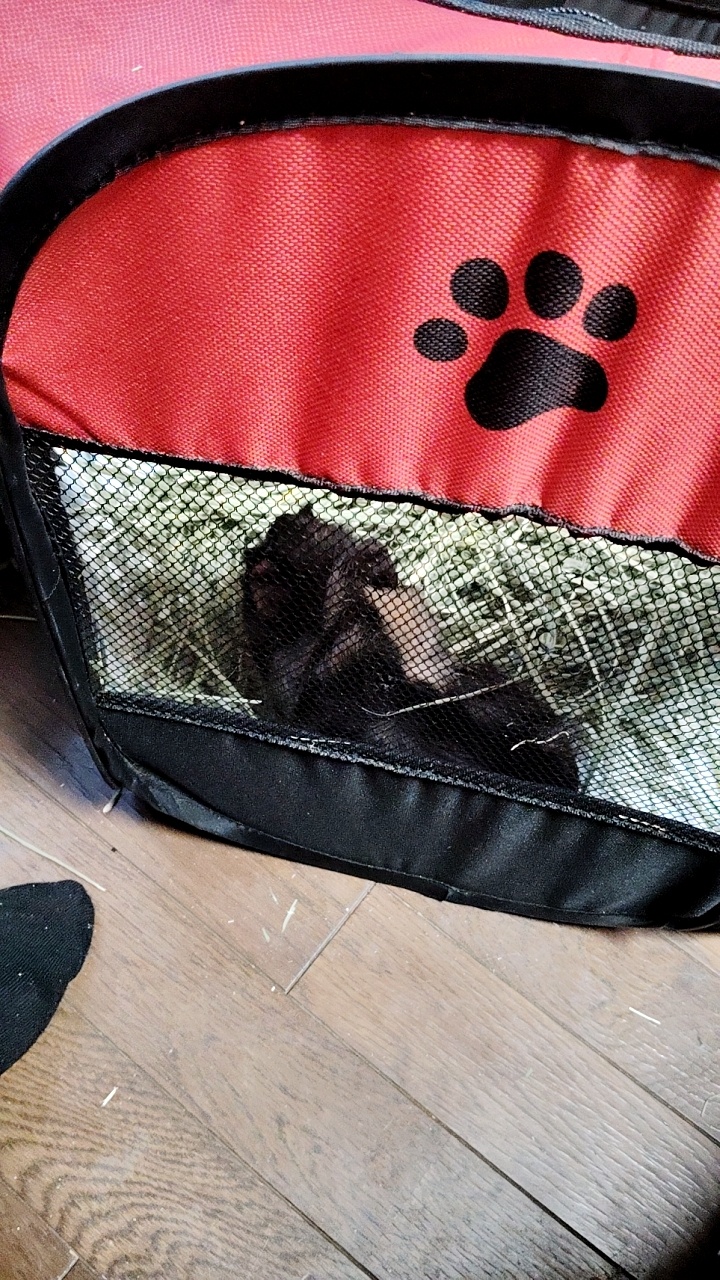 さあ、
