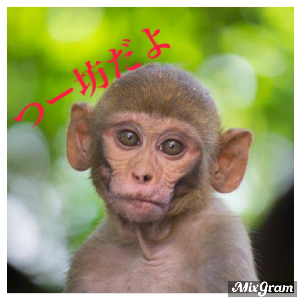 いろいろありましてキャス配信をひかえます！