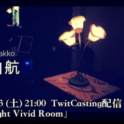 白航配信Live【Night Light Vivid Room】