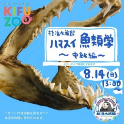 KIFUZOO桂浜水族館「ハマスイ魚類学〜中級編〜魚類の形態」