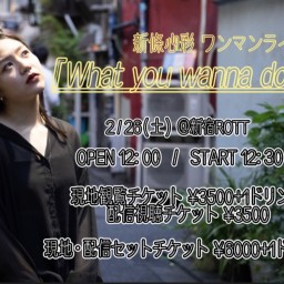 新條心彩 What you wanna do?