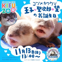 KIFUZOO桂浜水族館「コツメのお誕生日」