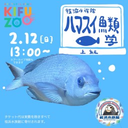 KIFUZOO桂浜水族館「ハマスイ魚類学〜上級〜」