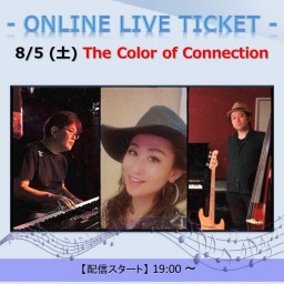 8/5 The Color of Connection