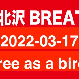 20212-03-17  Free as a bird