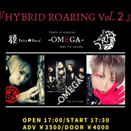 『HYBRID ROARING Vol.2』