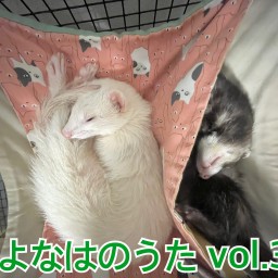 よなはのうた vol.3