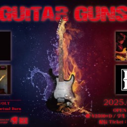 2/13 GUITAR GUNS