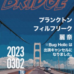 BRIDGE20230302