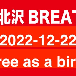 2022-12-22 free as a bird
