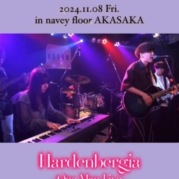 24/11/8『Hardenbergia』