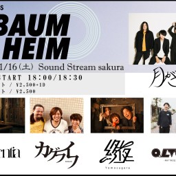 11/16(Sat)Sound Stream ライブ配信