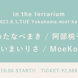【2023/8/1】in the terrarium
