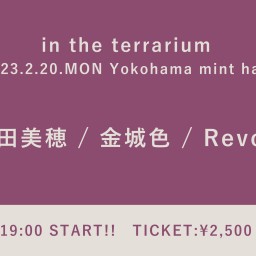 【2023/2/20】in the terrarium