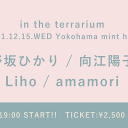 【12/15】in the terrarium