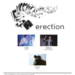 3/29 erection