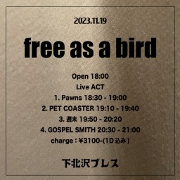 2023-11-19（夜）free as a bird