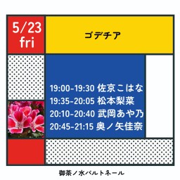 5/23ゴデチア