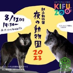 KIFUZOO旭山動物園「夜の動物園2023」