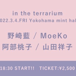 【3/4】in the terrarium
