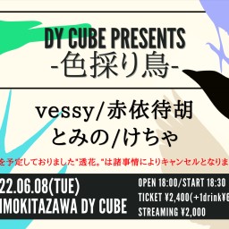 DY CUBE presents "色採り鳥"