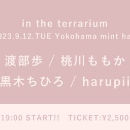 【2023/9/12】in the terrarium